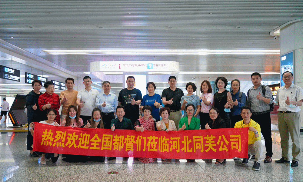 同芙集团(中国)股份有限公司 | 同芙 | 同芙集团