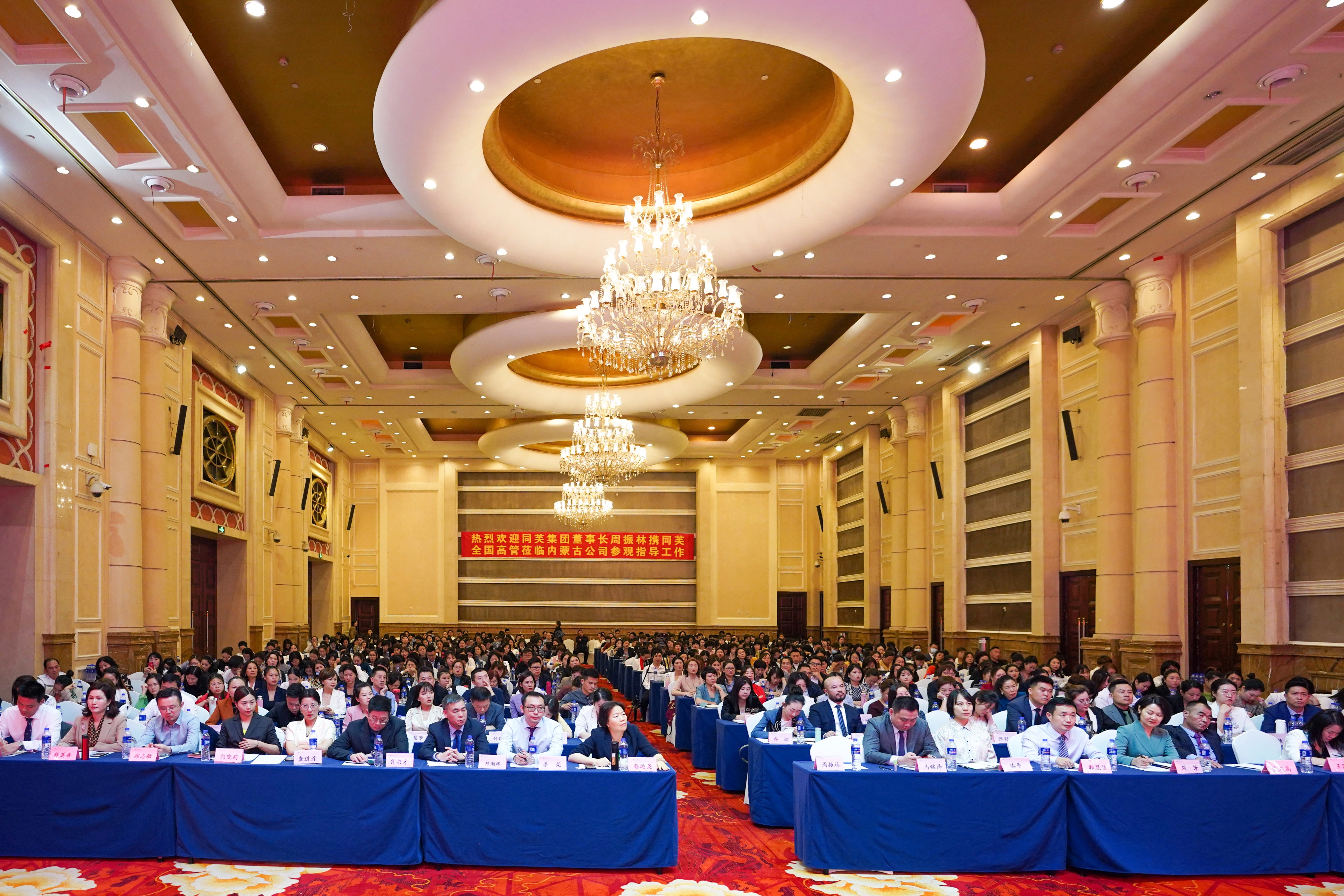 同芙集团(中国)股份有限公司 | 同芙 | 同芙集团