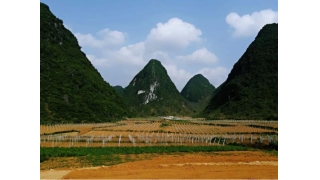 同芙集团 | 同芙三千亩有机农场正式规划落地，形势一片大好！